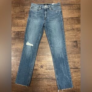 Hudson Jeans Barbara High-Waist Super Skinny Ankle Jeans